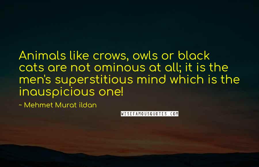 Mehmet Murat Ildan Quotes: Animals like crows, owls or black cats are not ominous at all; it is the men's superstitious mind which is the inauspicious one!