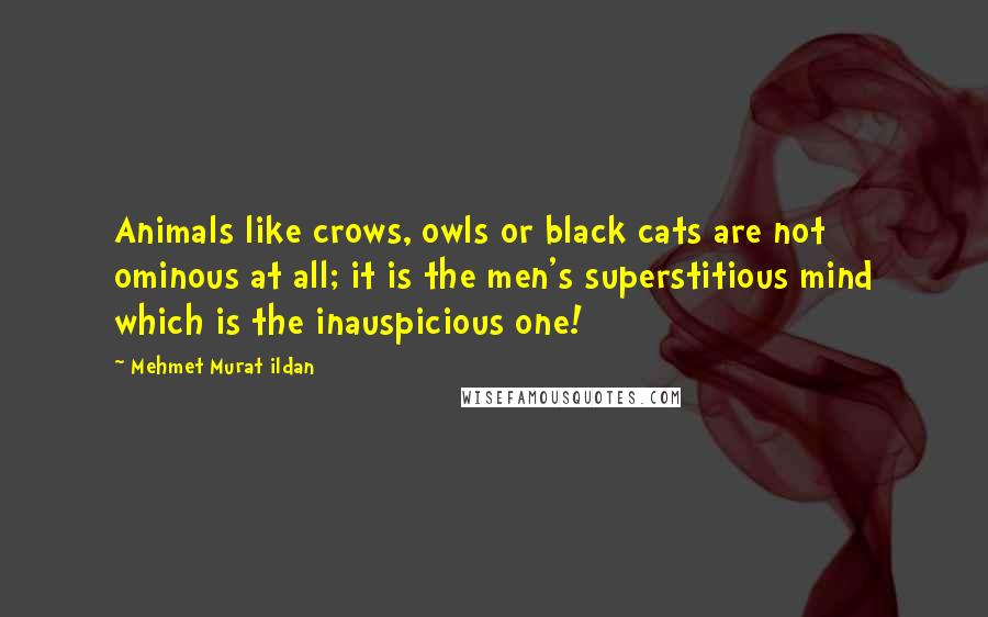 Mehmet Murat Ildan Quotes: Animals like crows, owls or black cats are not ominous at all; it is the men's superstitious mind which is the inauspicious one!