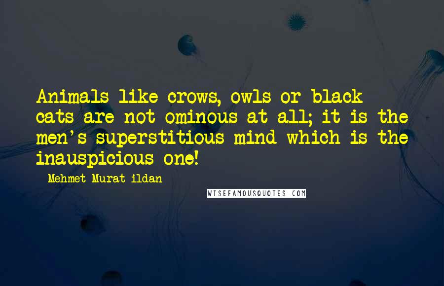 Mehmet Murat Ildan Quotes: Animals like crows, owls or black cats are not ominous at all; it is the men's superstitious mind which is the inauspicious one!