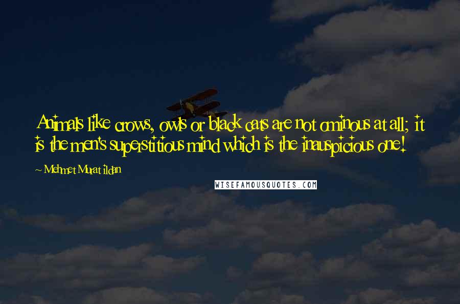 Mehmet Murat Ildan Quotes: Animals like crows, owls or black cats are not ominous at all; it is the men's superstitious mind which is the inauspicious one!