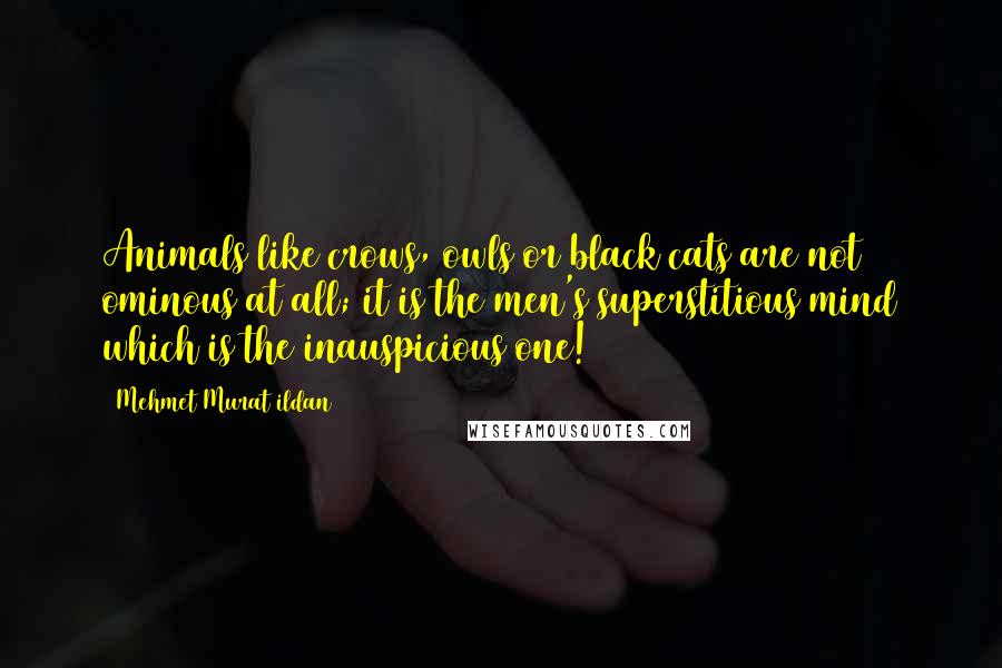 Mehmet Murat Ildan Quotes: Animals like crows, owls or black cats are not ominous at all; it is the men's superstitious mind which is the inauspicious one!