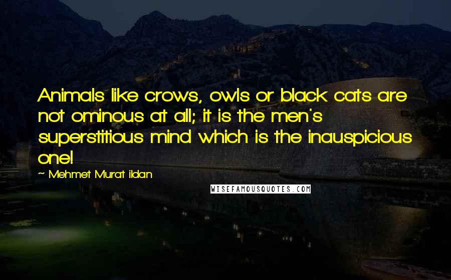 Mehmet Murat Ildan Quotes: Animals like crows, owls or black cats are not ominous at all; it is the men's superstitious mind which is the inauspicious one!