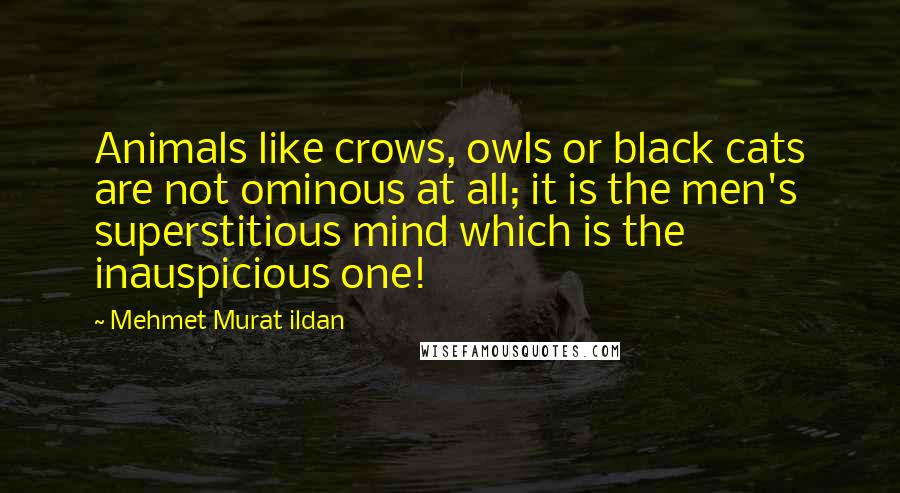 Mehmet Murat Ildan Quotes: Animals like crows, owls or black cats are not ominous at all; it is the men's superstitious mind which is the inauspicious one!