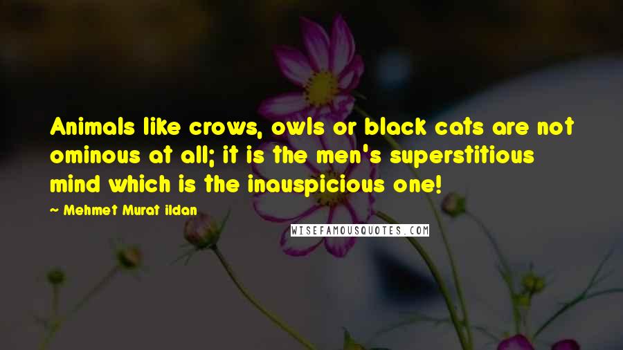 Mehmet Murat Ildan Quotes: Animals like crows, owls or black cats are not ominous at all; it is the men's superstitious mind which is the inauspicious one!