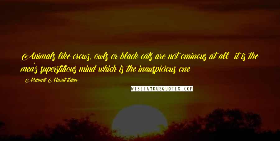 Mehmet Murat Ildan Quotes: Animals like crows, owls or black cats are not ominous at all; it is the men's superstitious mind which is the inauspicious one!