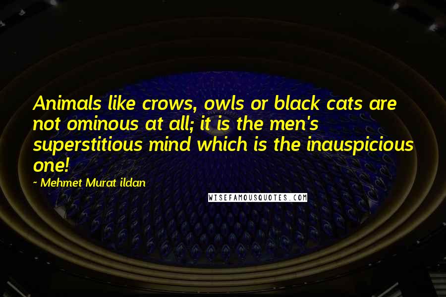 Mehmet Murat Ildan Quotes: Animals like crows, owls or black cats are not ominous at all; it is the men's superstitious mind which is the inauspicious one!