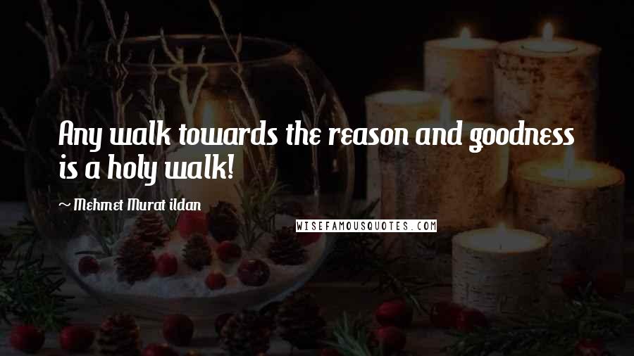 Mehmet Murat Ildan Quotes: Any walk towards the reason and goodness is a holy walk!