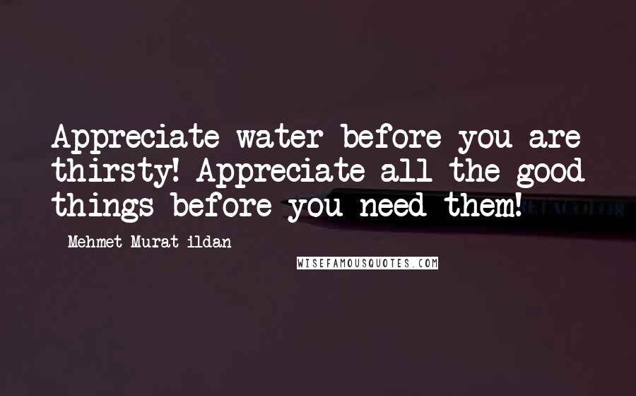 Mehmet Murat Ildan Quotes: Appreciate water before you are thirsty! Appreciate all the good things before you need them!