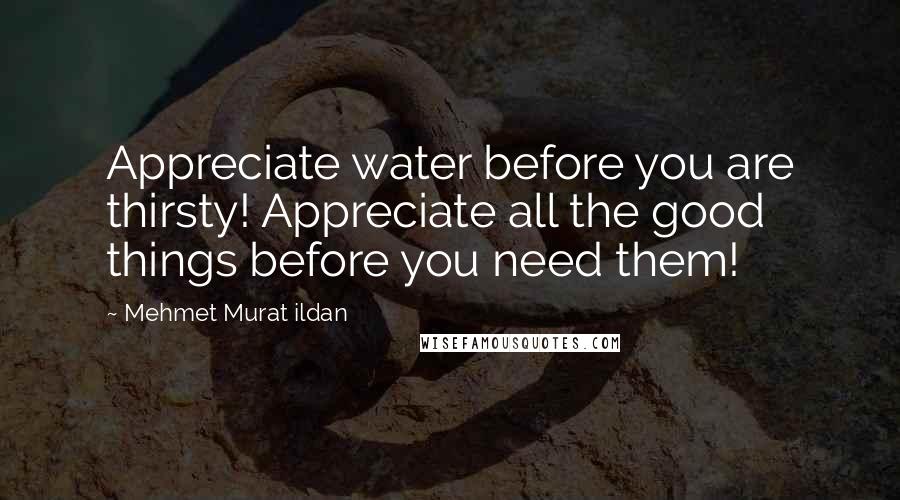 Mehmet Murat Ildan Quotes: Appreciate water before you are thirsty! Appreciate all the good things before you need them!