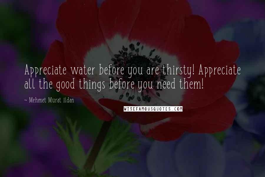 Mehmet Murat Ildan Quotes: Appreciate water before you are thirsty! Appreciate all the good things before you need them!