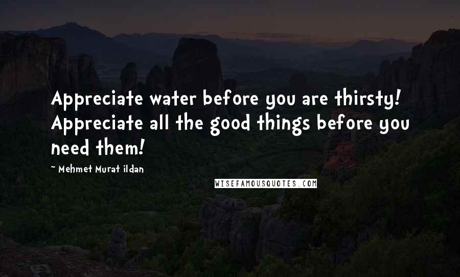 Mehmet Murat Ildan Quotes: Appreciate water before you are thirsty! Appreciate all the good things before you need them!