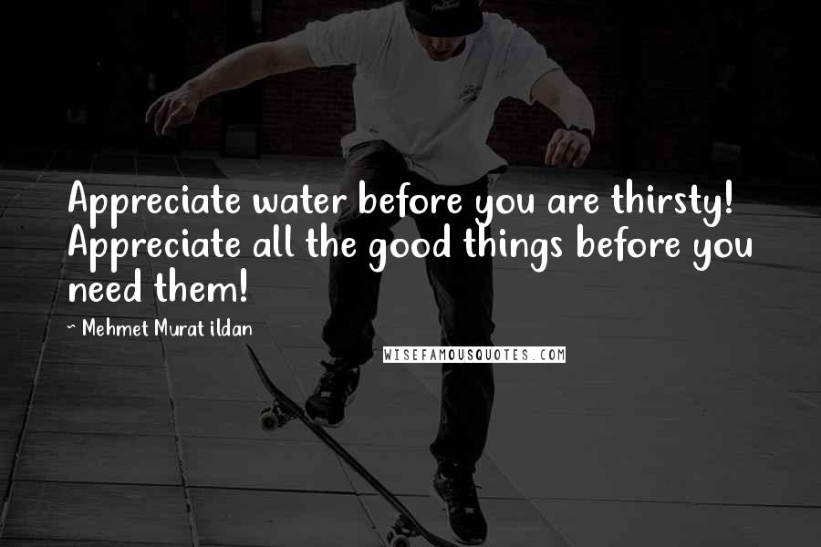 Mehmet Murat Ildan Quotes: Appreciate water before you are thirsty! Appreciate all the good things before you need them!