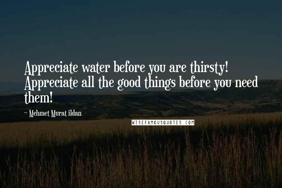 Mehmet Murat Ildan Quotes: Appreciate water before you are thirsty! Appreciate all the good things before you need them!