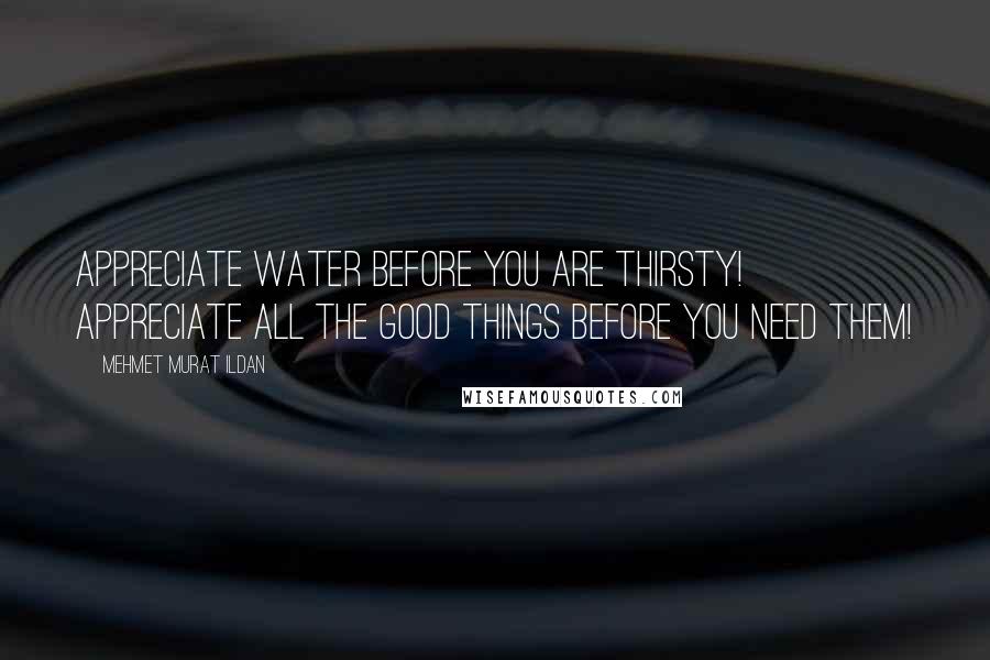 Mehmet Murat Ildan Quotes: Appreciate water before you are thirsty! Appreciate all the good things before you need them!