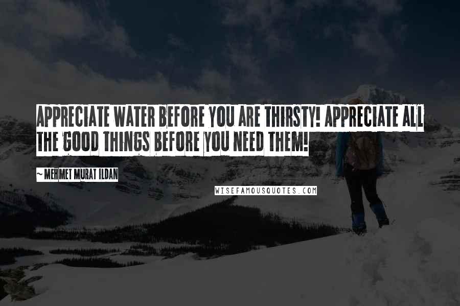 Mehmet Murat Ildan Quotes: Appreciate water before you are thirsty! Appreciate all the good things before you need them!