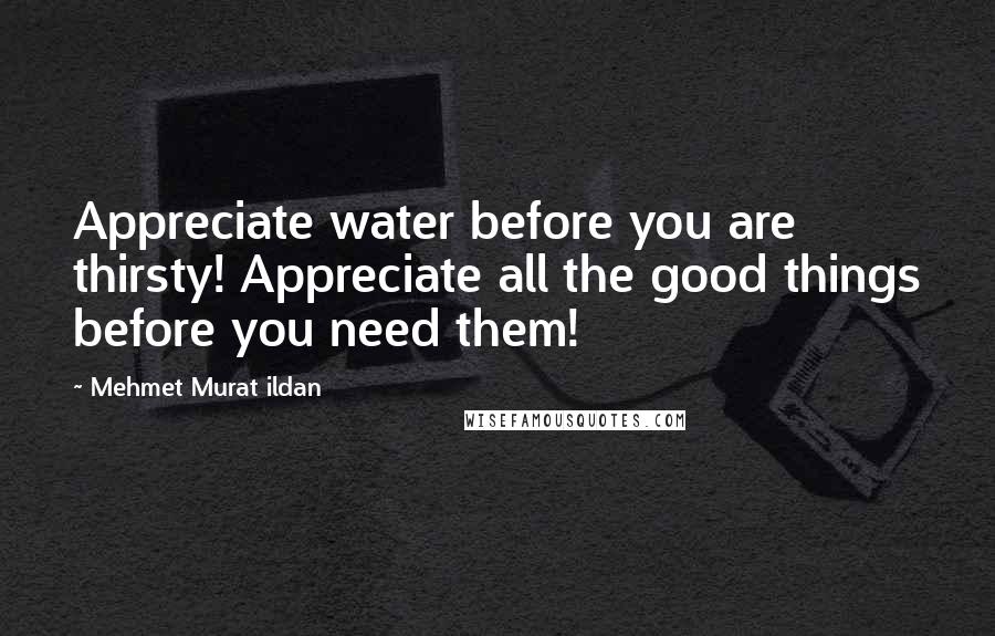 Mehmet Murat Ildan Quotes: Appreciate water before you are thirsty! Appreciate all the good things before you need them!