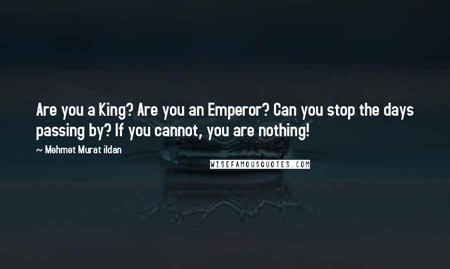 Mehmet Murat Ildan Quotes: Are you a King? Are you an Emperor? Can you stop the days passing by? If you cannot, you are nothing!