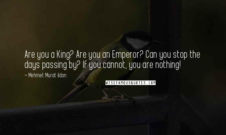 Mehmet Murat Ildan Quotes: Are you a King? Are you an Emperor? Can you stop the days passing by? If you cannot, you are nothing!