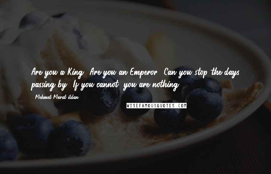 Mehmet Murat Ildan Quotes: Are you a King? Are you an Emperor? Can you stop the days passing by? If you cannot, you are nothing!