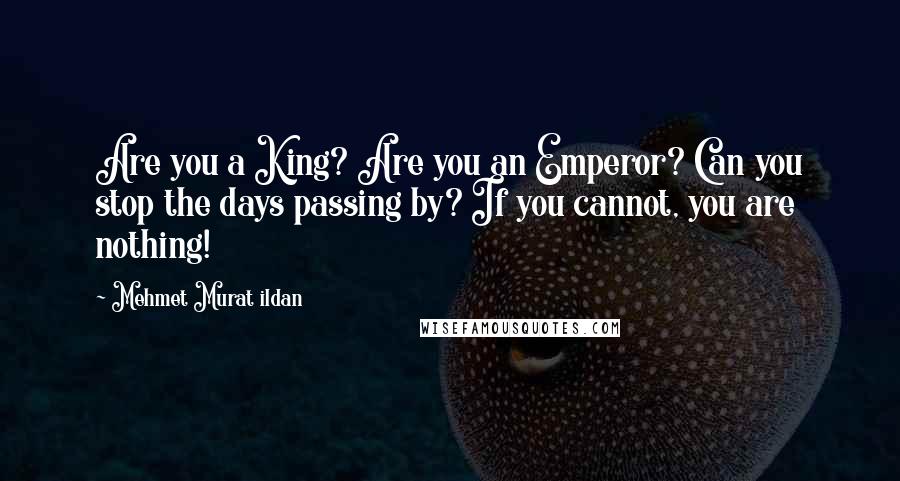 Mehmet Murat Ildan Quotes: Are you a King? Are you an Emperor? Can you stop the days passing by? If you cannot, you are nothing!
