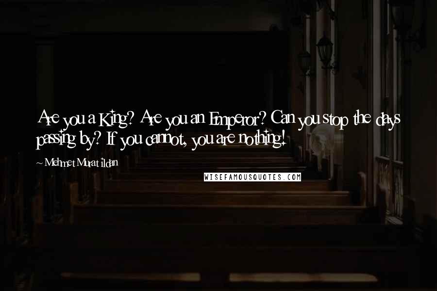 Mehmet Murat Ildan Quotes: Are you a King? Are you an Emperor? Can you stop the days passing by? If you cannot, you are nothing!