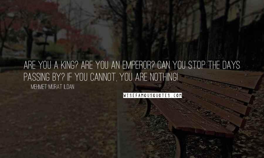 Mehmet Murat Ildan Quotes: Are you a King? Are you an Emperor? Can you stop the days passing by? If you cannot, you are nothing!