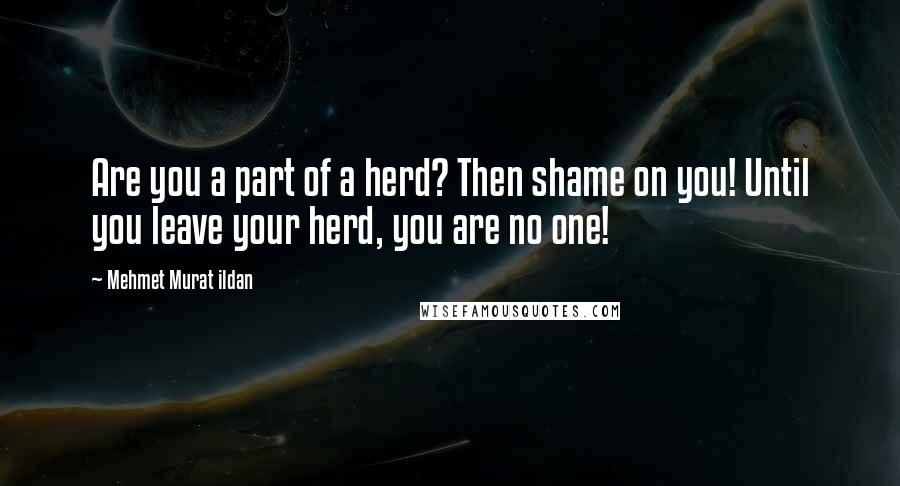 Mehmet Murat Ildan Quotes: Are you a part of a herd? Then shame on you! Until you leave your herd, you are no one!