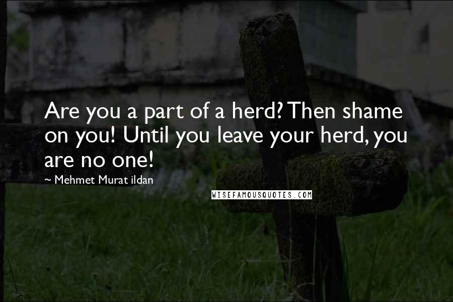 Mehmet Murat Ildan Quotes: Are you a part of a herd? Then shame on you! Until you leave your herd, you are no one!