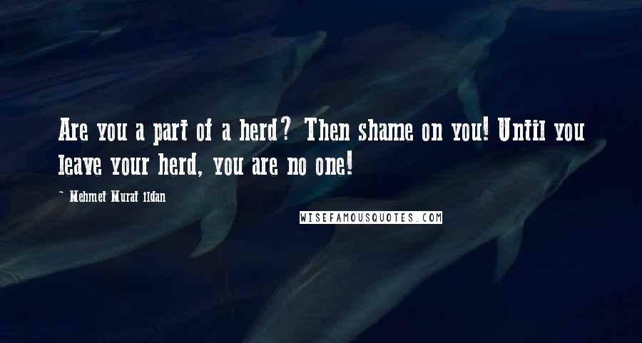 Mehmet Murat Ildan Quotes: Are you a part of a herd? Then shame on you! Until you leave your herd, you are no one!