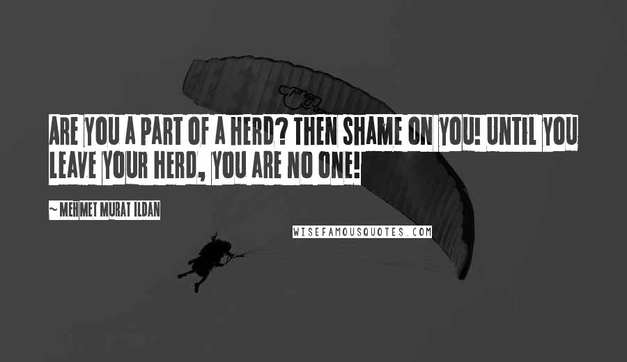 Mehmet Murat Ildan Quotes: Are you a part of a herd? Then shame on you! Until you leave your herd, you are no one!