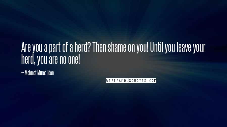 Mehmet Murat Ildan Quotes: Are you a part of a herd? Then shame on you! Until you leave your herd, you are no one!