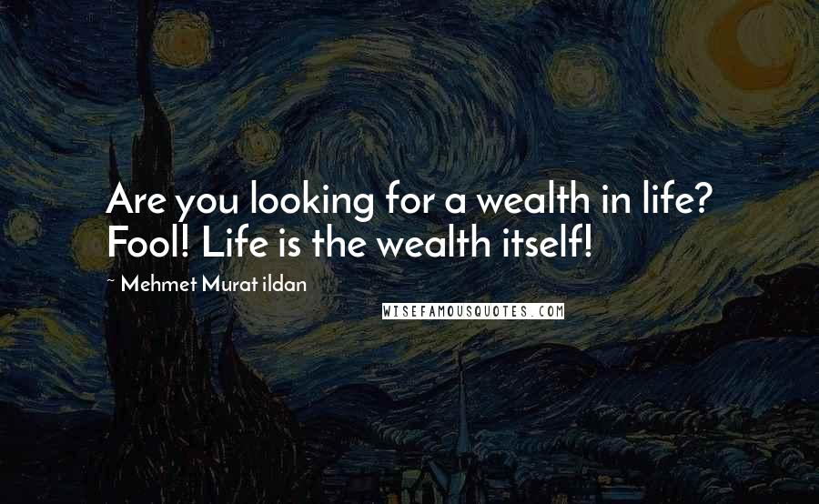 Mehmet Murat Ildan Quotes: Are you looking for a wealth in life? Fool! Life is the wealth itself!