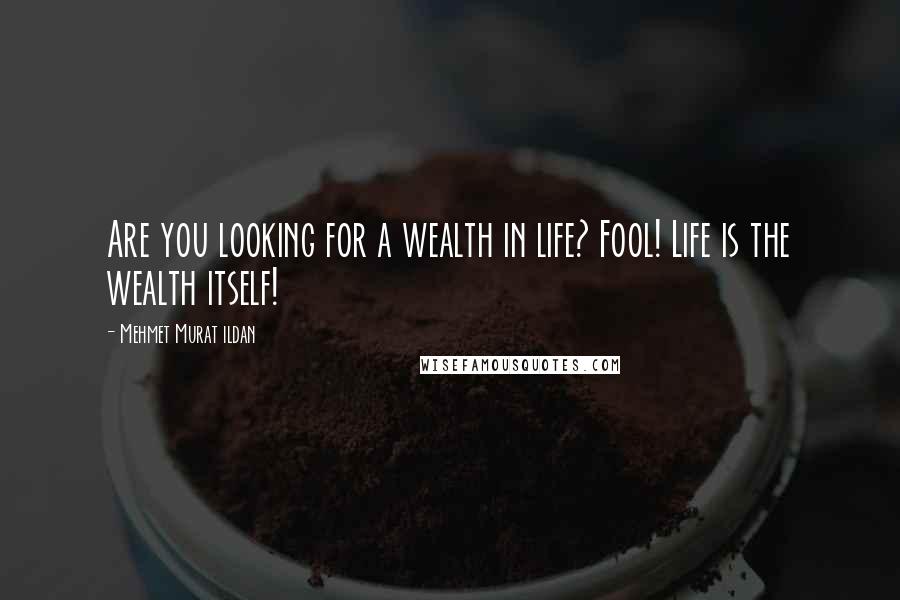 Mehmet Murat Ildan Quotes: Are you looking for a wealth in life? Fool! Life is the wealth itself!