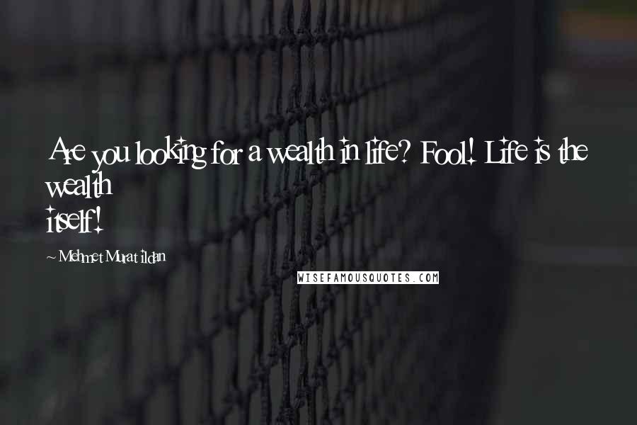 Mehmet Murat Ildan Quotes: Are you looking for a wealth in life? Fool! Life is the wealth itself!