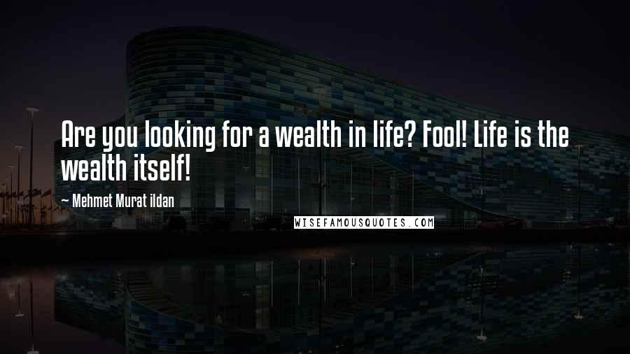 Mehmet Murat Ildan Quotes: Are you looking for a wealth in life? Fool! Life is the wealth itself!