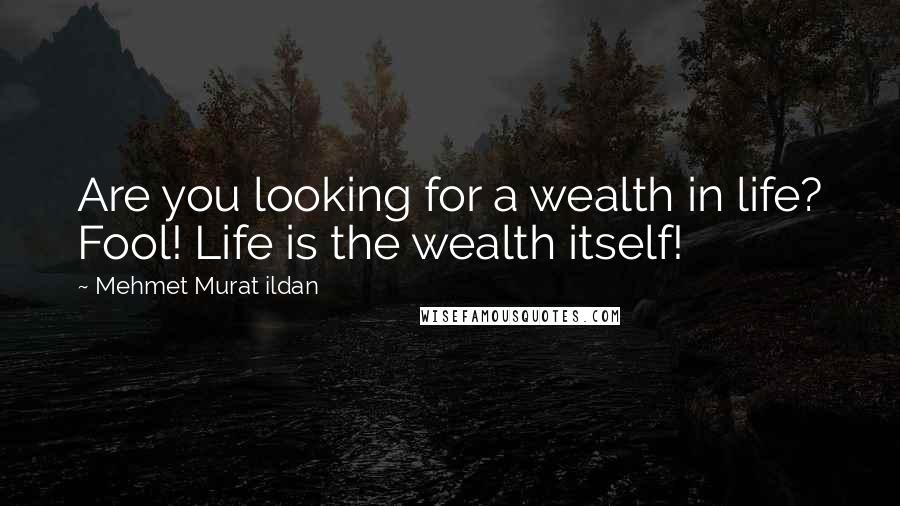 Mehmet Murat Ildan Quotes: Are you looking for a wealth in life? Fool! Life is the wealth itself!