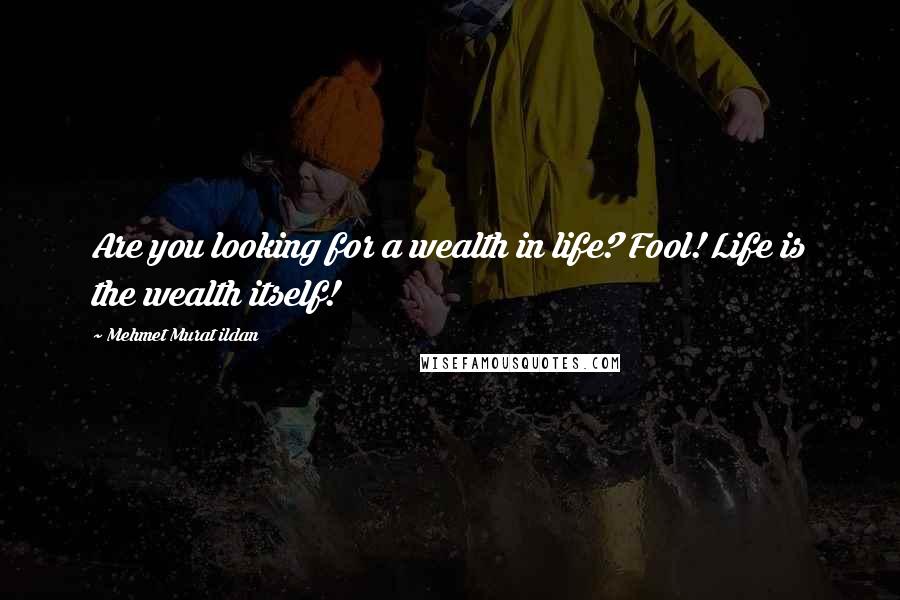 Mehmet Murat Ildan Quotes: Are you looking for a wealth in life? Fool! Life is the wealth itself!