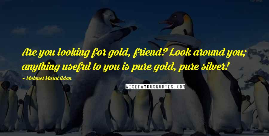 Mehmet Murat Ildan Quotes: Are you looking for gold, friend? Look around you; anything useful to you is pure gold, pure silver!