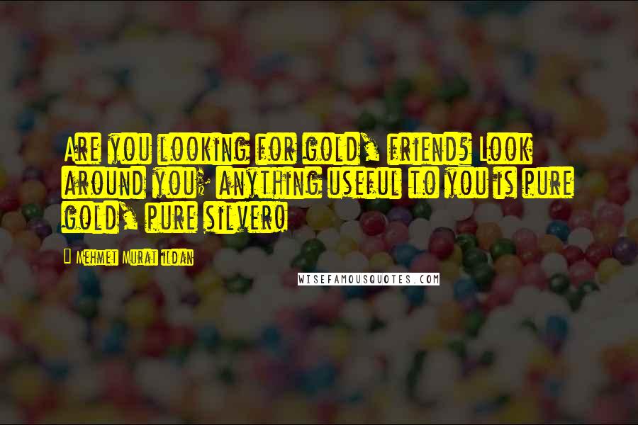 Mehmet Murat Ildan Quotes: Are you looking for gold, friend? Look around you; anything useful to you is pure gold, pure silver!