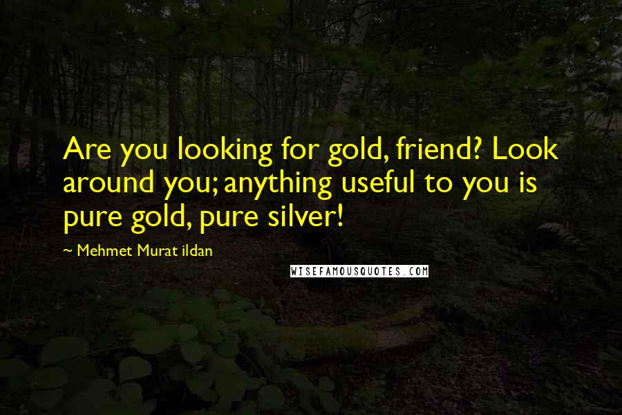 Mehmet Murat Ildan Quotes: Are you looking for gold, friend? Look around you; anything useful to you is pure gold, pure silver!