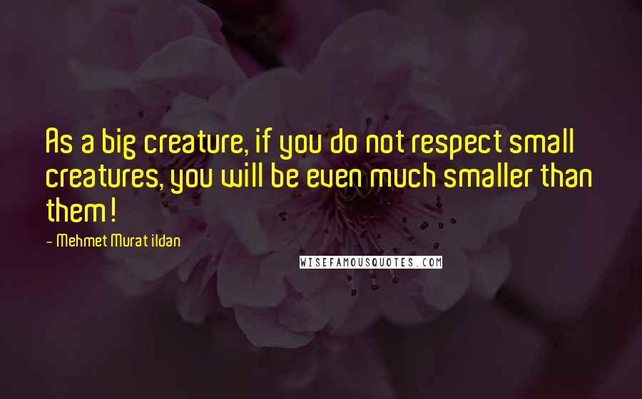 Mehmet Murat Ildan Quotes: As a big creature, if you do not respect small creatures, you will be even much smaller than them!