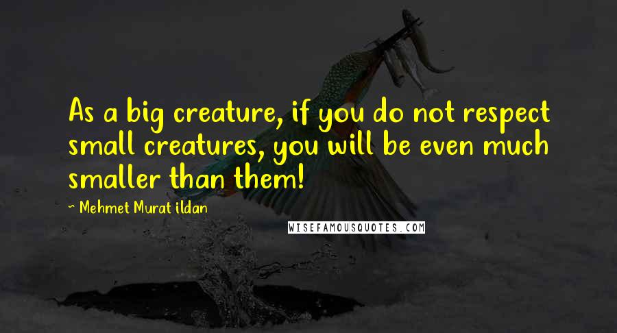 Mehmet Murat Ildan Quotes: As a big creature, if you do not respect small creatures, you will be even much smaller than them!