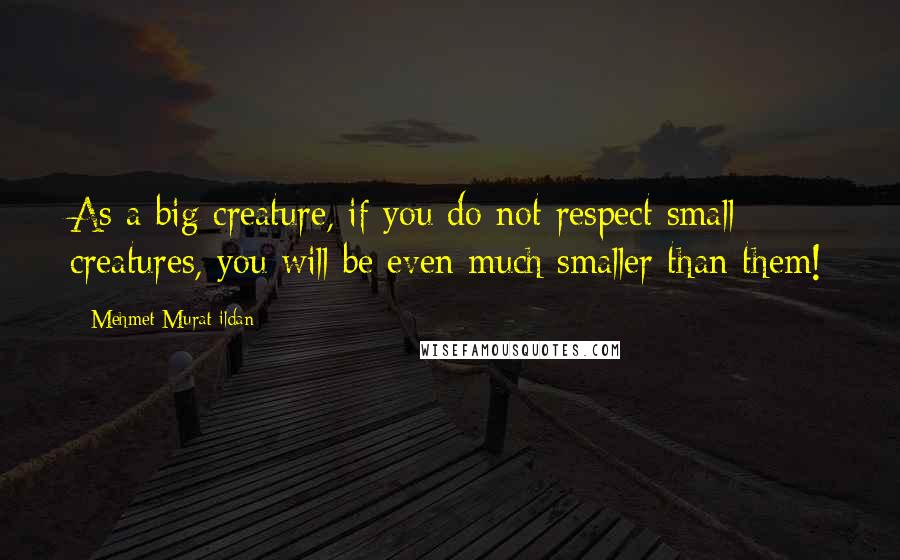 Mehmet Murat Ildan Quotes: As a big creature, if you do not respect small creatures, you will be even much smaller than them!