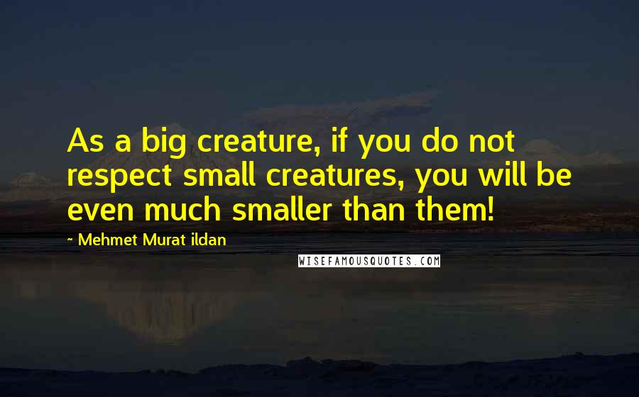 Mehmet Murat Ildan Quotes: As a big creature, if you do not respect small creatures, you will be even much smaller than them!