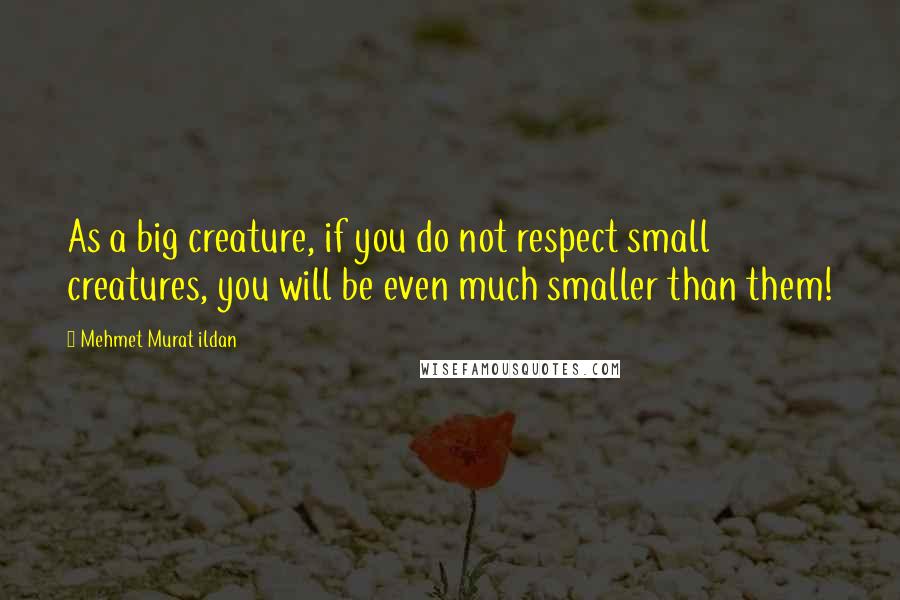 Mehmet Murat Ildan Quotes: As a big creature, if you do not respect small creatures, you will be even much smaller than them!