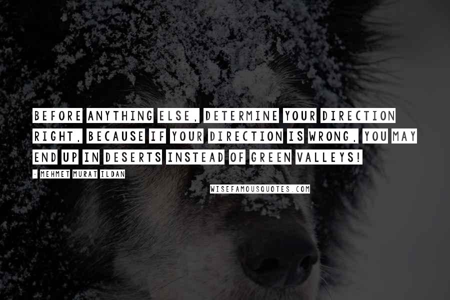 Mehmet Murat Ildan Quotes: Before anything else, determine your direction right, because if your direction is wrong, you may end up in deserts instead of green valleys!