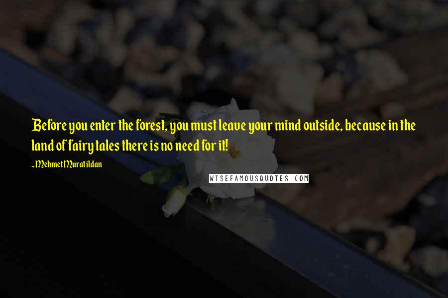 Mehmet Murat Ildan Quotes: Before you enter the forest, you must leave your mind outside, because in the land of fairy tales there is no need for it!