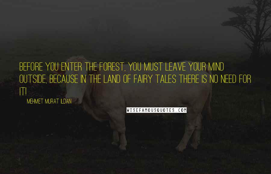 Mehmet Murat Ildan Quotes: Before you enter the forest, you must leave your mind outside, because in the land of fairy tales there is no need for it!