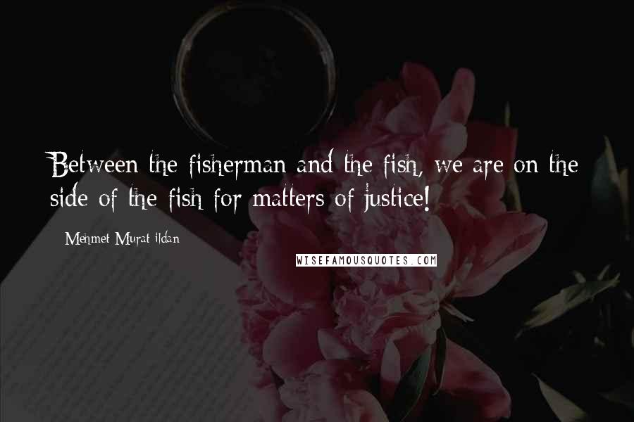 Mehmet Murat Ildan Quotes: Between the fisherman and the fish, we are on the side of the fish for matters of justice!