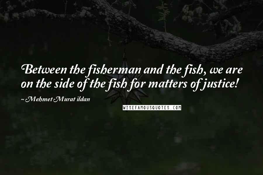 Mehmet Murat Ildan Quotes: Between the fisherman and the fish, we are on the side of the fish for matters of justice!